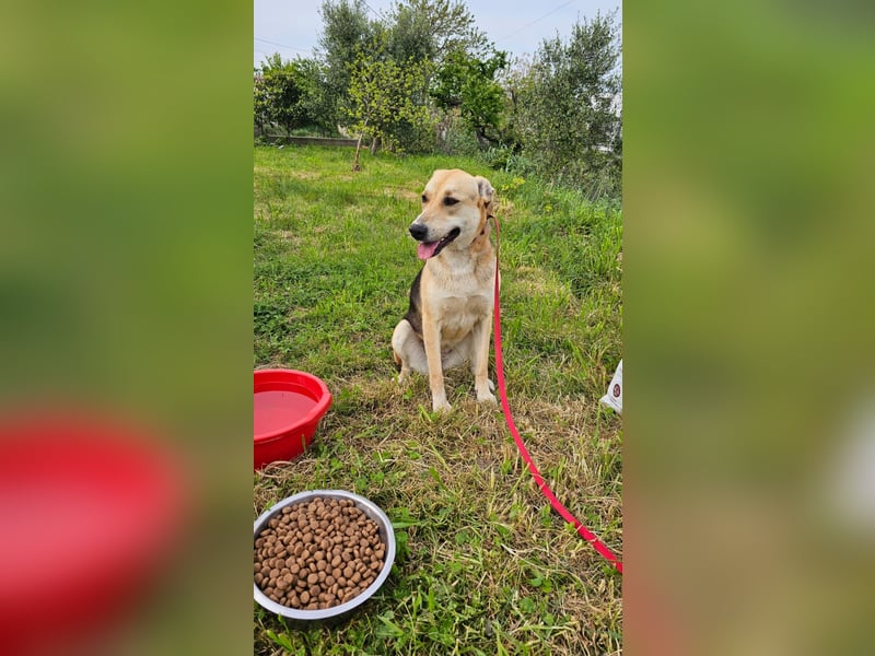 Lila (2) wünscht sich eine Familie