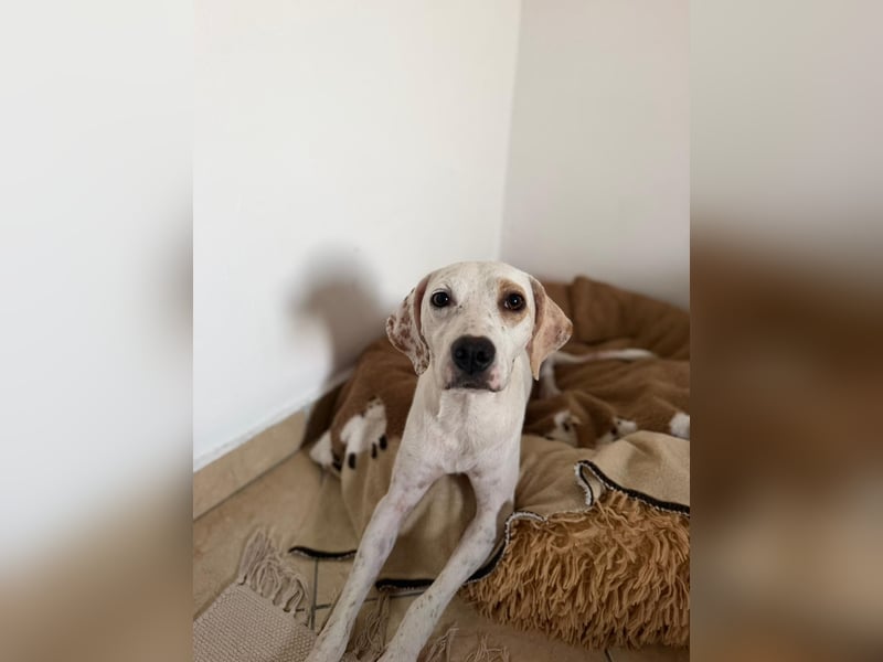Murphy (3) sucht Ihr Happy End