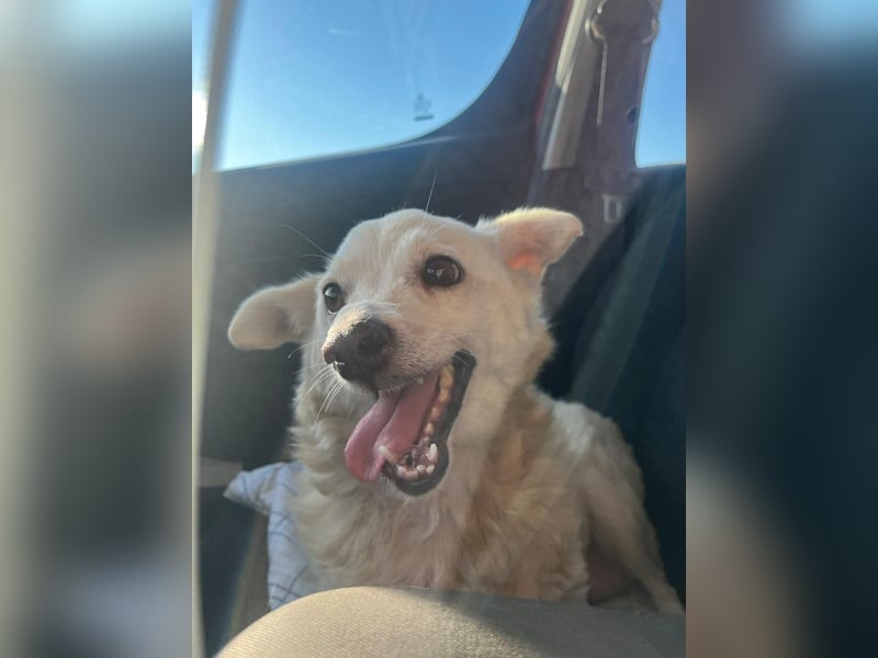 Josie (8) sucht einen Platz zum Entspannen