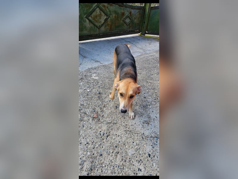 Lila (2) wünscht sich eine Familie