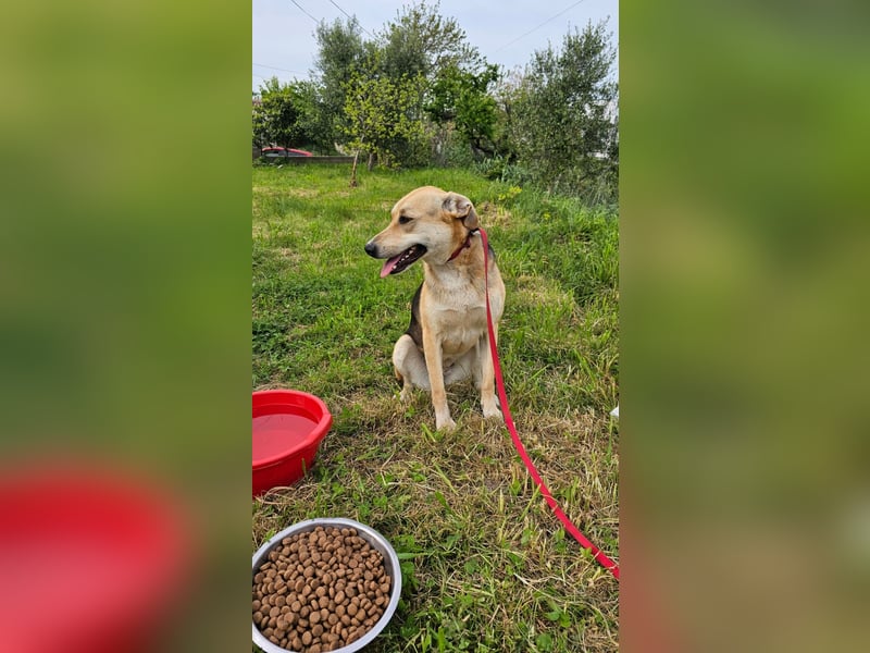 Lila (2) wünscht sich eine Familie