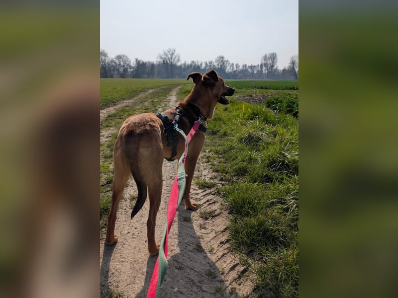 Joschi – ein Freund fürs Leben