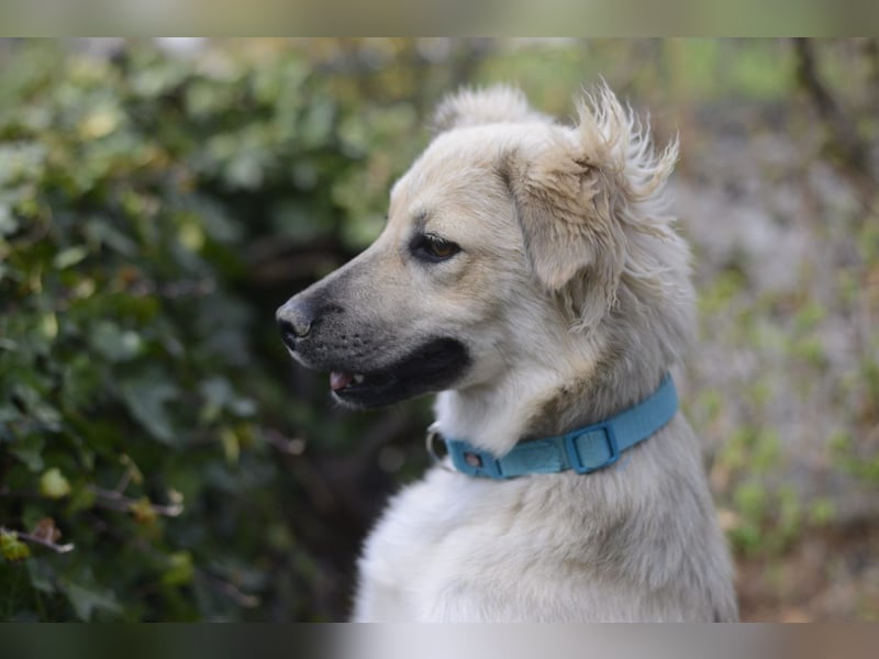 Luna möchte Teil deiner Familie werden