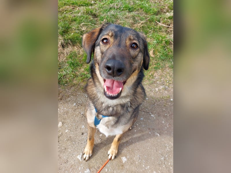 Kassandra – vorsichtige Schönheit sucht ihren Herzensmenschen (Essen, NRW)