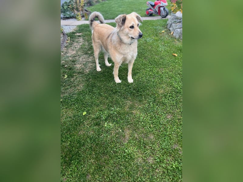 Luna möchte Teil deiner Familie werden