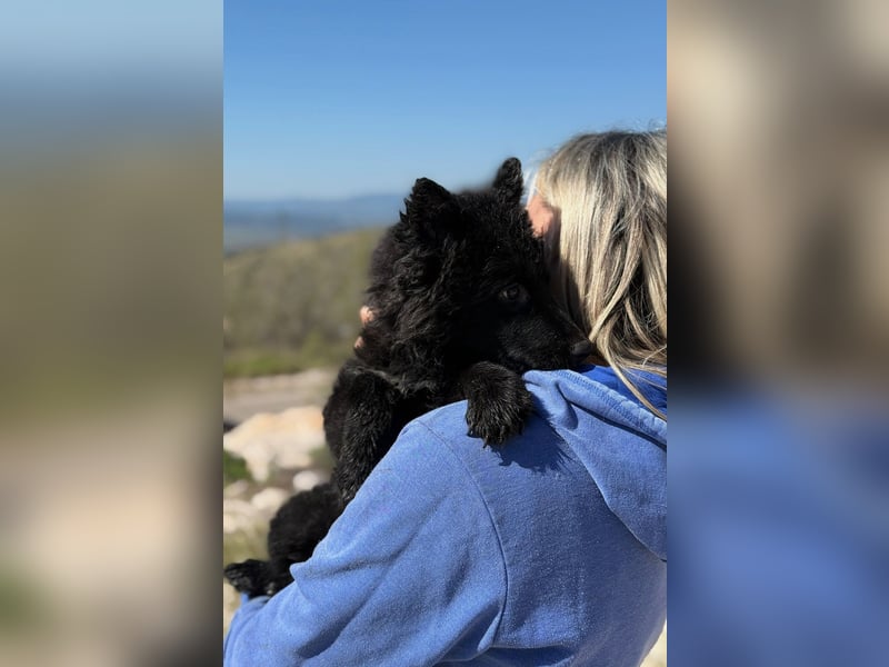 Kiano - Freund fürs Leben gesucht