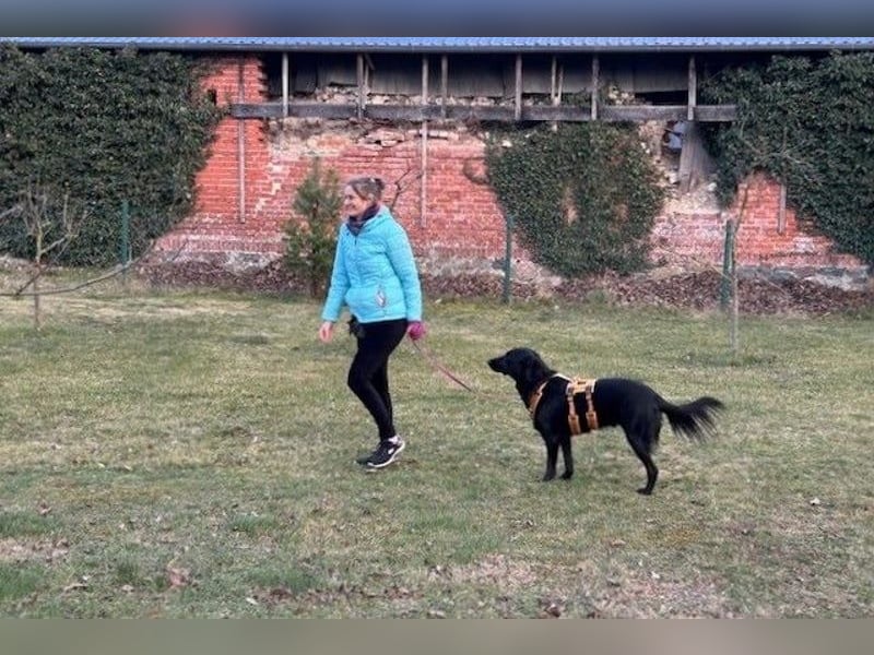 Blacky - Das Glück zum Greifen nah (15938 Drahnsdorf)