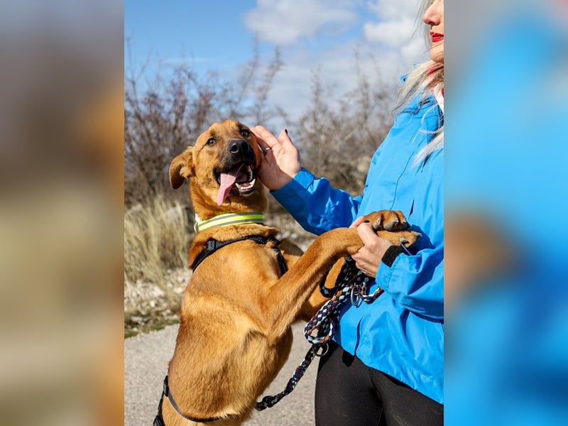 Joschi – ein Freund fürs Leben