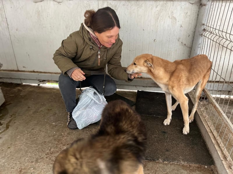 TOFU sucht ein Zuhause