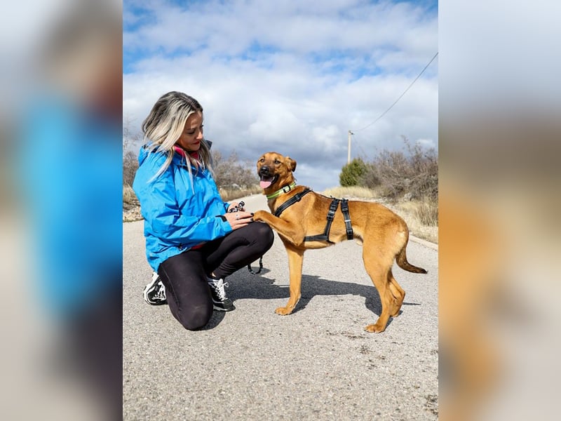 Joschi – ein Freund fürs Leben