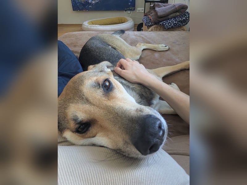 Trusky - sensibler Jungspund sucht Sicherheit