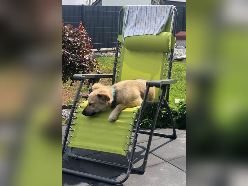 Luna möchte Teil deiner Familie werden