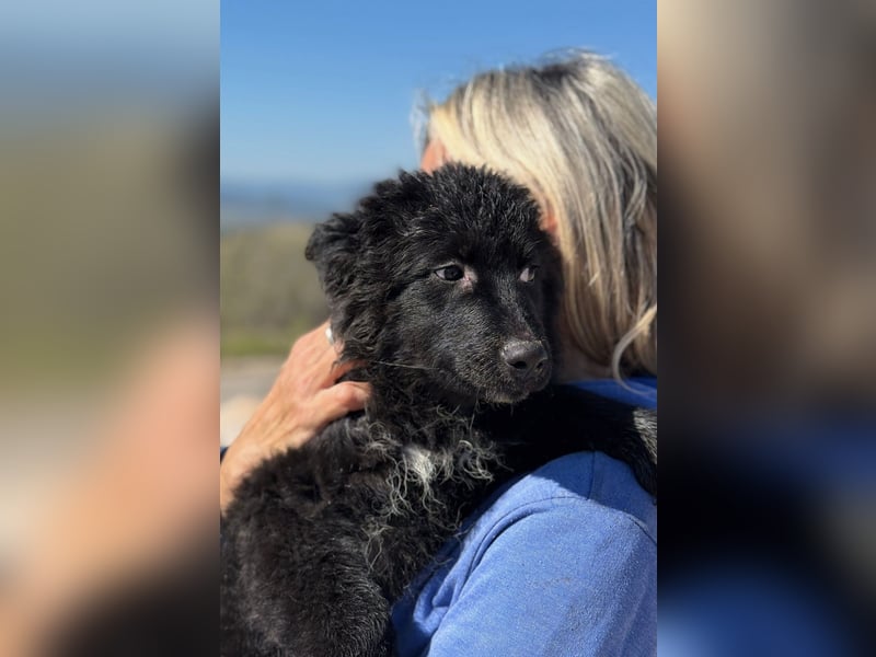 Kiano - Freund fürs Leben gesucht