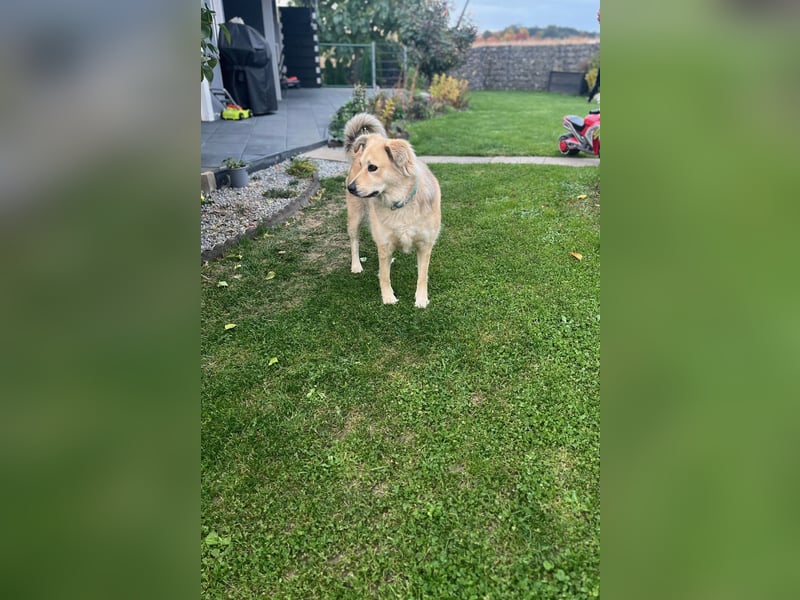 Luna möchte Teil deiner Familie werden