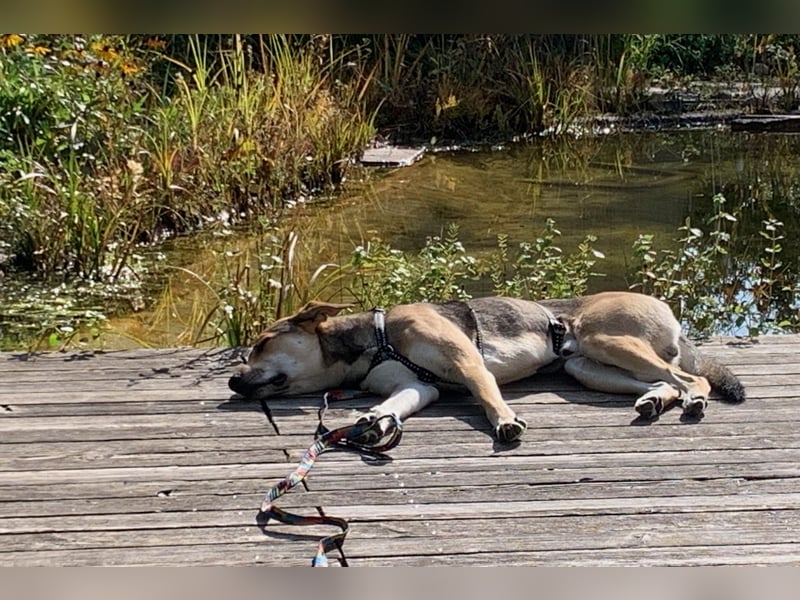 Trusky - sensibler Jungspund sucht Sicherheit