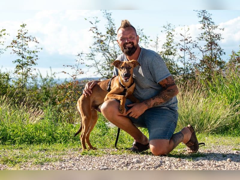 Joschi – ein Freund fürs Leben