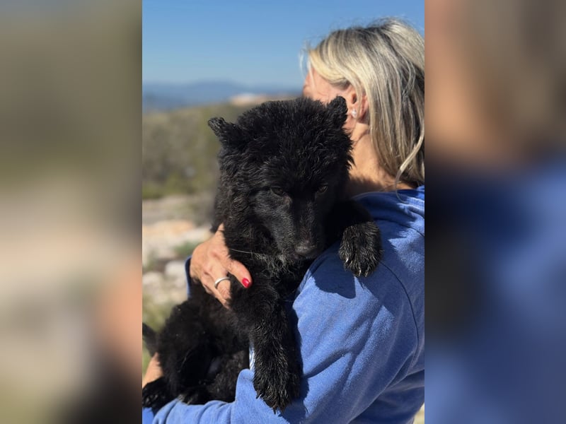 Kiano - Freund fürs Leben gesucht