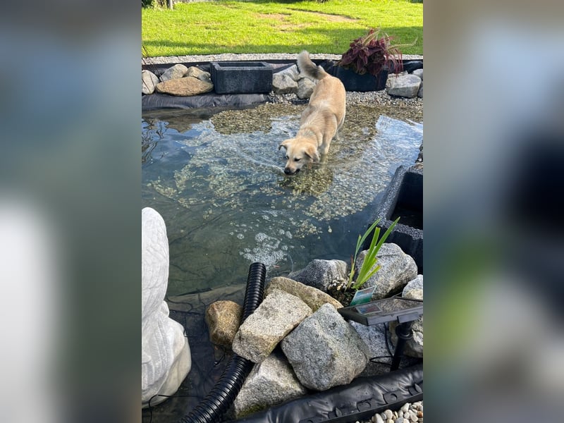 Luna möchte Teil deiner Familie werden