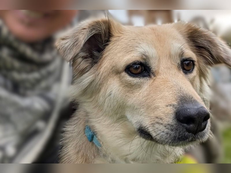 Luna möchte Teil deiner Familie werden