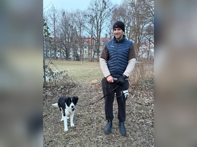 Rolli - 5 Monate, verspielt, menschenbezogen