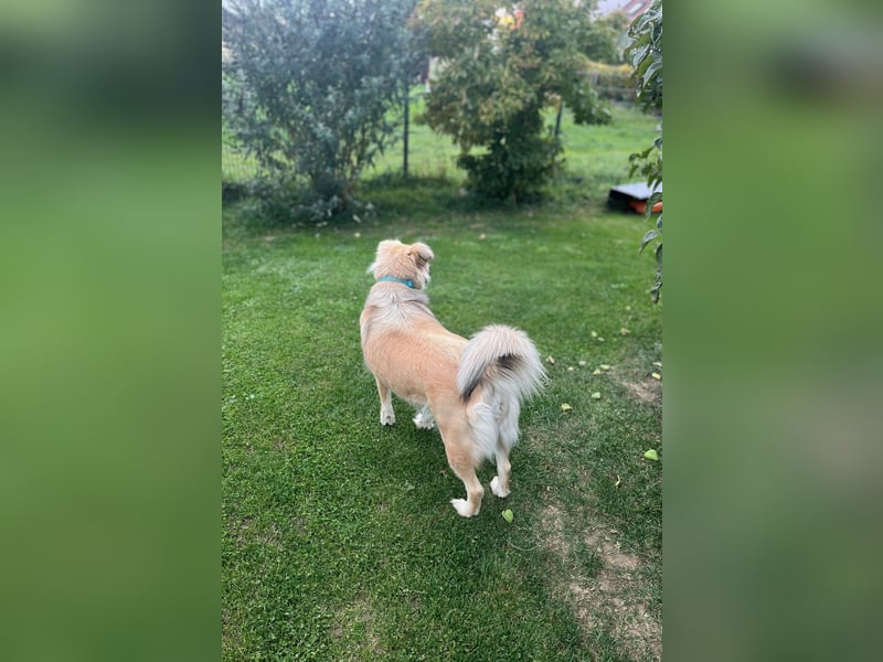 Luna möchte Teil deiner Familie werden