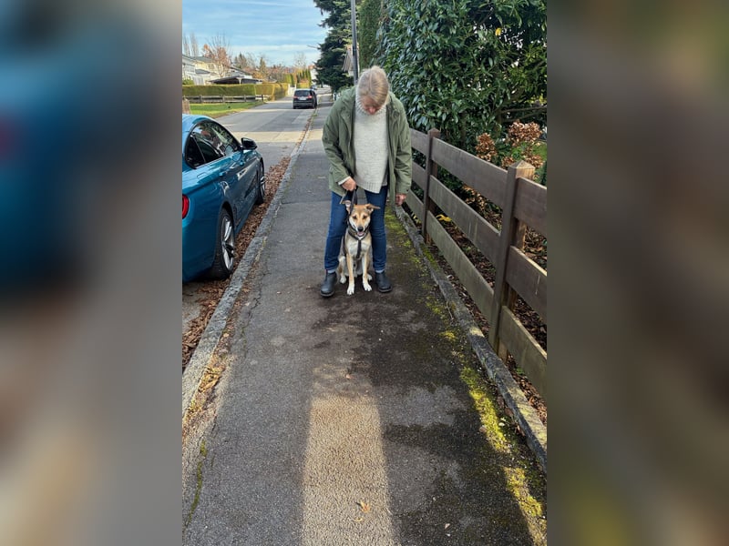 Trusky - sensibler Jungspund sucht Sicherheit