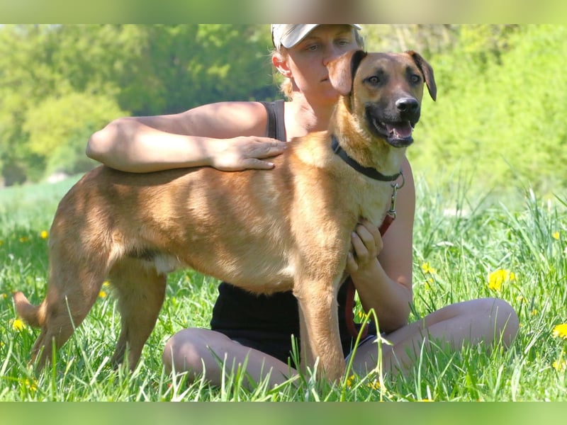 Maddox sucht Menschen, die ihm die Welt zeigen (73630 Remshalden)