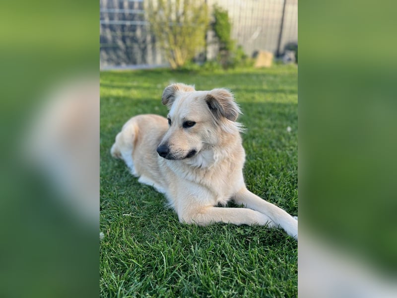 Luna möchte Teil deiner Familie werden