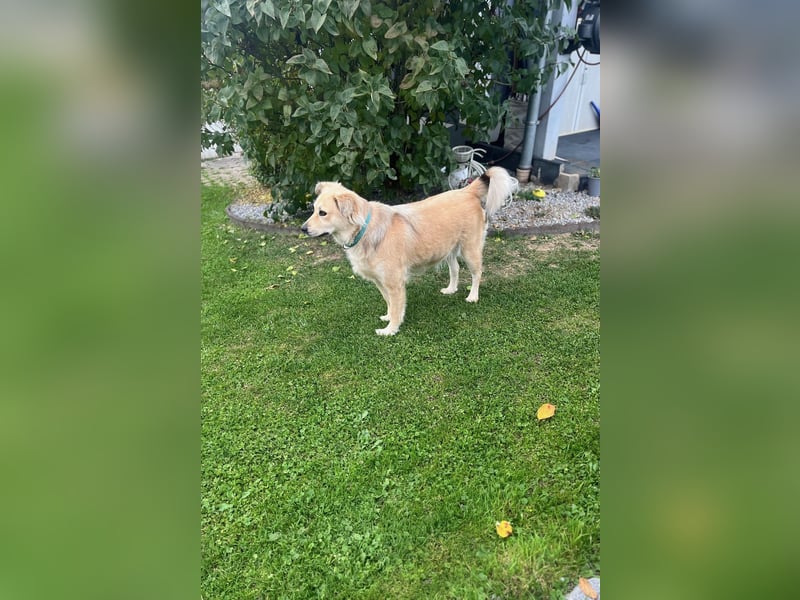 Luna möchte Teil deiner Familie werden