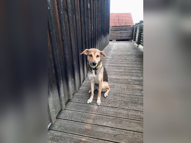 Trusky - sensibler Jungspund sucht Sicherheit