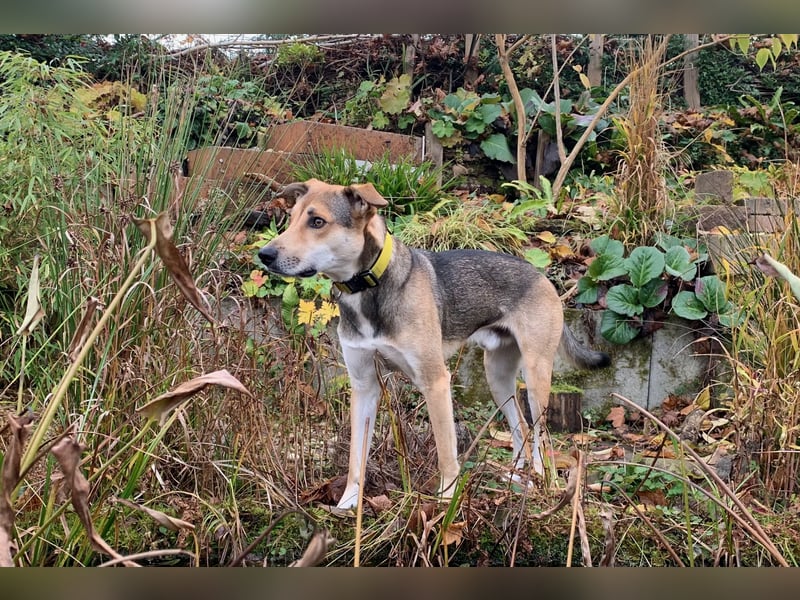 Trusky - sensibler Jungspund sucht Sicherheit