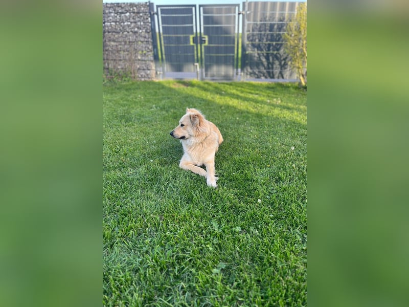 Luna möchte Teil deiner Familie werden