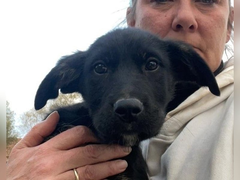 Unsere süße Chanel wartet auf ihre eigene Familie!