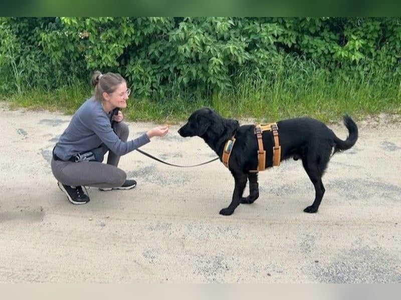 Blacky - Das Glück zum Greifen nah (15938 Drahnsdorf)