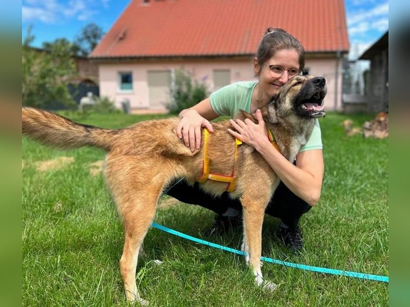 Rey wünscht sich eine eigene Familie (15938 Drahnsdorf)