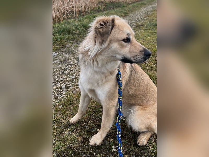 Luna möchte Teil deiner Familie werden