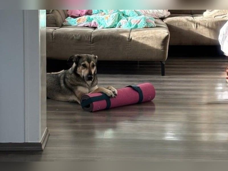 Ahri wünscht sich eine Familie für immer (51145 Köln)