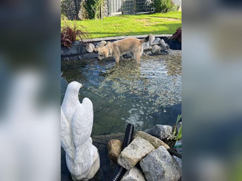 Luna möchte Teil deiner Familie werden