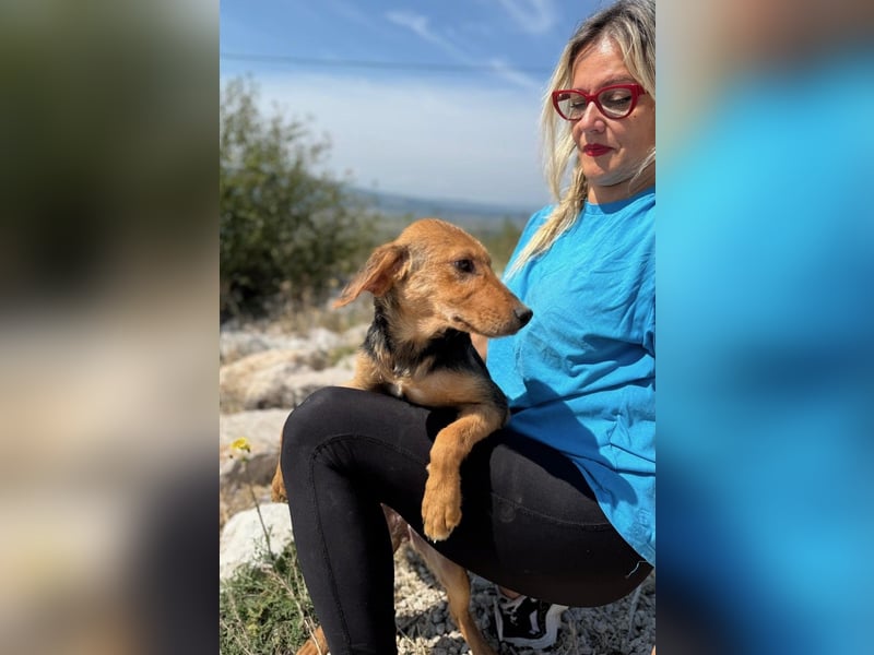 Elara möchte Teil eurer Familie werden (85591 Vaterstetten)