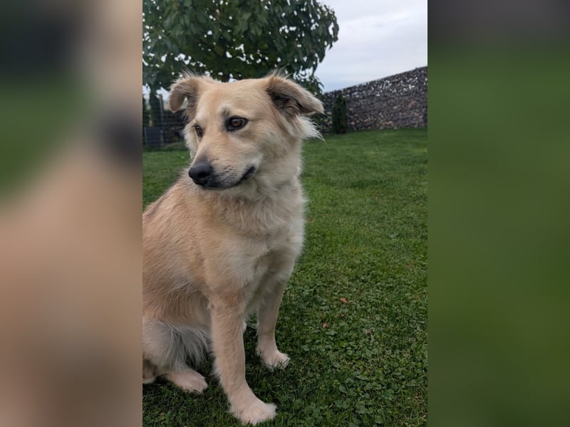 Luna möchte Teil deiner Familie werden