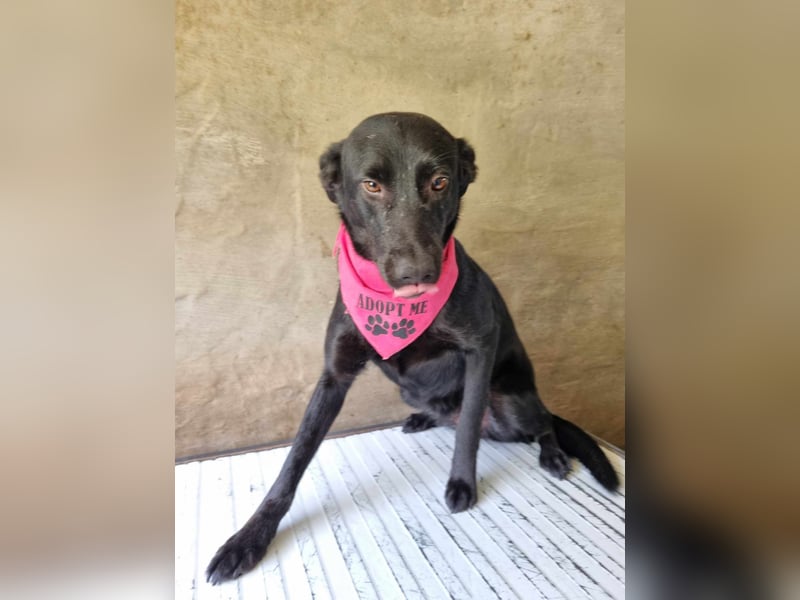 LIEBEVOLLE POUSADELA