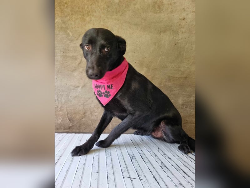 LIEBEVOLLE POUSADELA