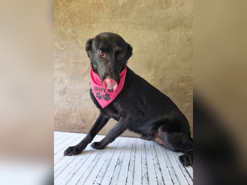 LIEBEVOLLE POUSADELA