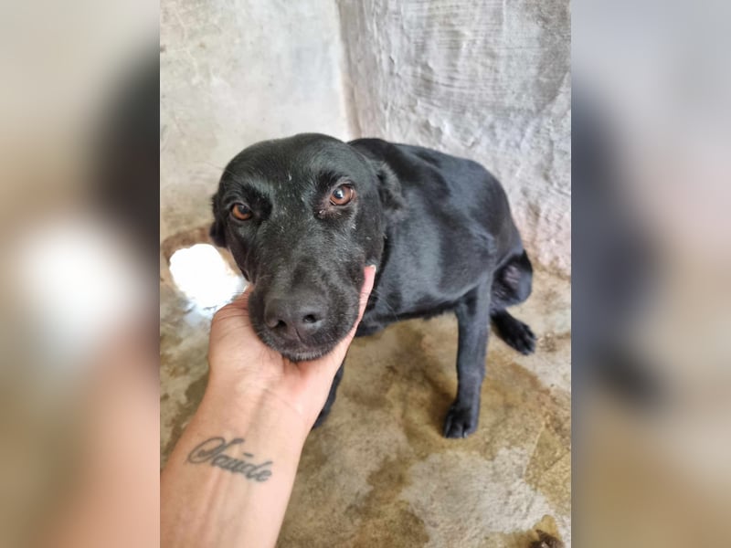 LIEBEVOLLE POUSADELA