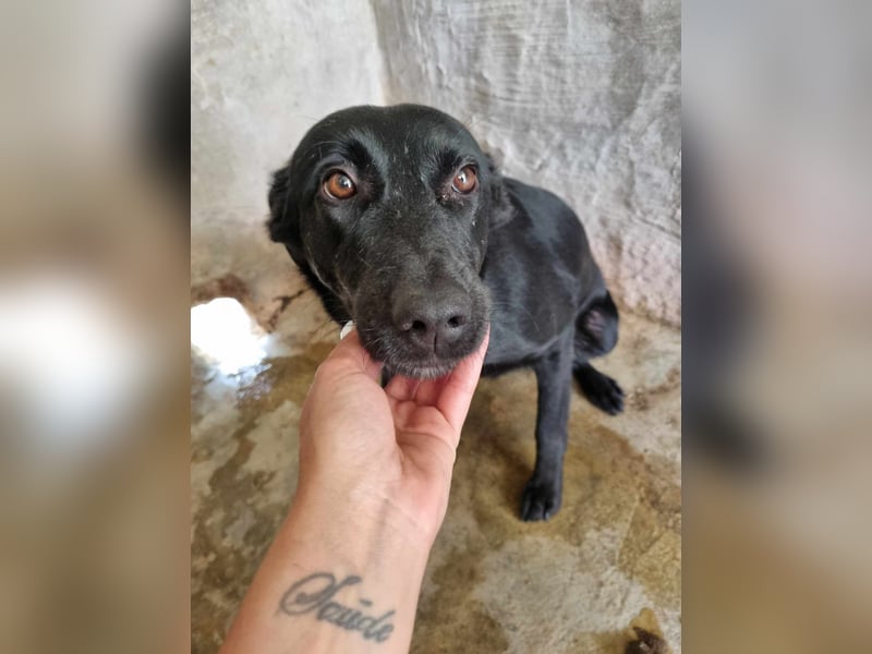 LIEBEVOLLE POUSADELA