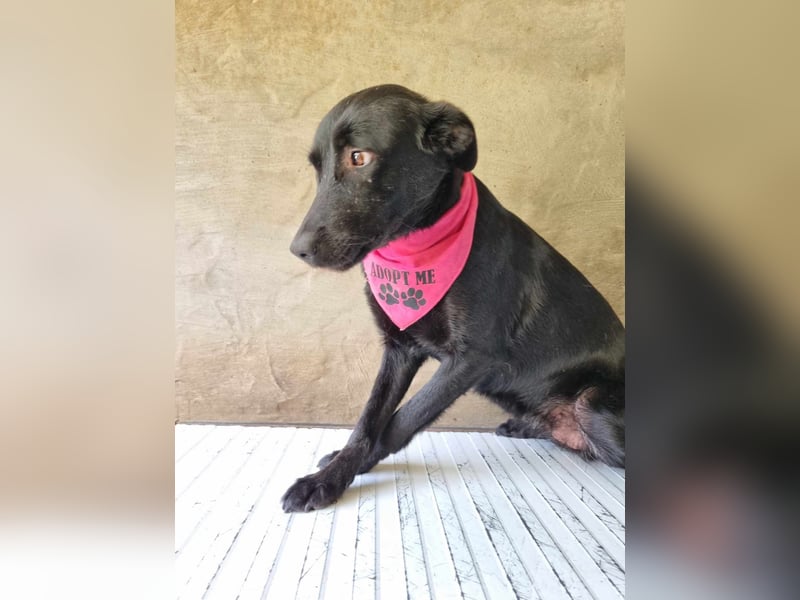 LIEBEVOLLE POUSADELA