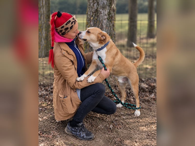 Baki - Freundlicher Hundejunge sucht aktive Menschen!