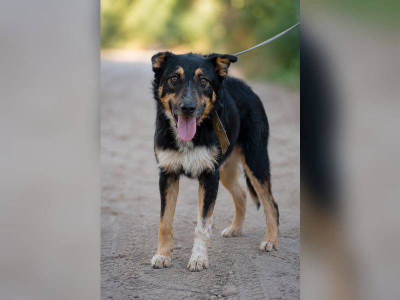 Mirko - Sanfter Senior sucht endlich sein Glück
