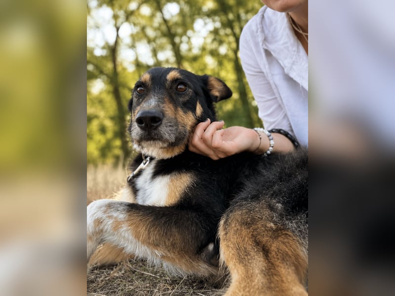 Mirko - Sanfter Senior sucht endlich sein Glück