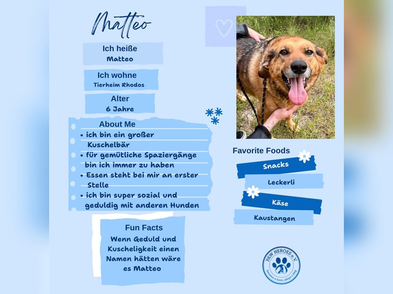 Kuschelbär MATTEO sucht eine Familie!